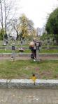 zdjęcie IMG_20161031_143057.jpg