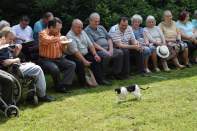 zdjęcie DSC_0029.JPG